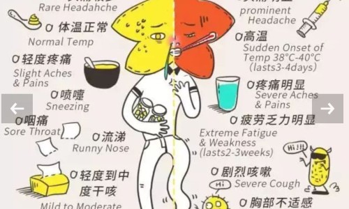 水枝子实应土质对不对-【水枝穴】山枝子与水枝子的区别 - 水枝子药用价值网