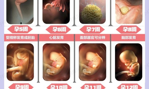 水枝子实应土质对不对-【水枝穴】山枝子与水枝子的区别 - 水枝子药用价值网