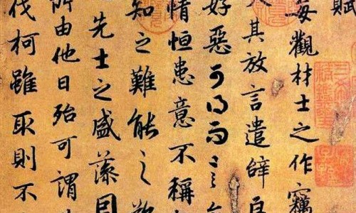 水枝是什么中药-【水枝穴】山枝子与水枝子的区别 - 水枝子药用价值网