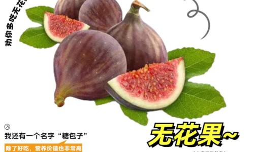 水枝子实应土质对不对-【水枝穴】山枝子与水枝子的区别 - 水枝子药用价值网